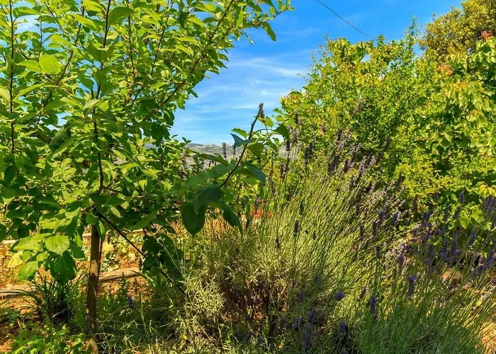 Holiday home House Marija